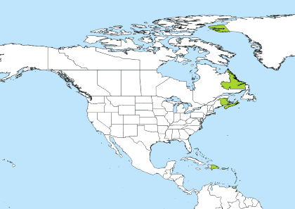 AST Time Zone Geo Map