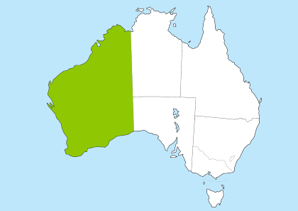 sti Vil have kompression 15 00 australian time to cest Rektangel stykke  Moske