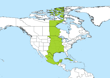 Cdt Time Zone Map | Tourist Map Of English