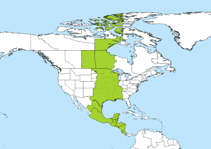 CST Time Zone Geo Map