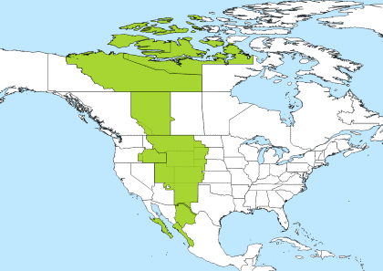 MDT Time Zone Geo Map