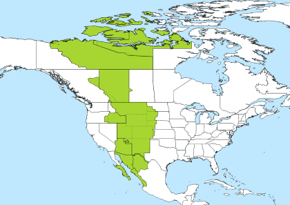 Gmt Time Zone Conversion Chart