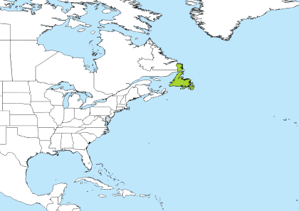 NDT Time Zone Geo Map