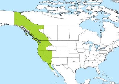 PDT Time Zone Geo Map