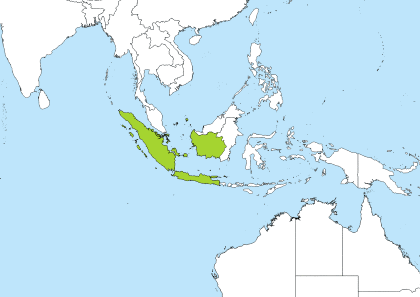 WIB Time Zone Geo Map