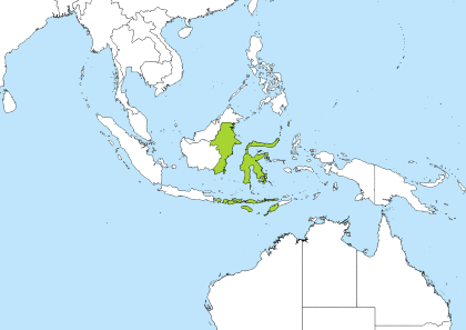 WITA Time Zone Geo Map