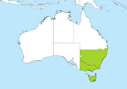 AEDT Time Zone Geo Map